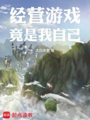 自己经营的游戏