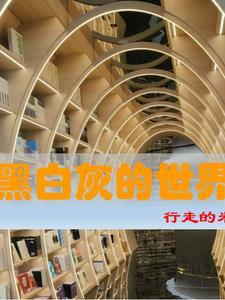 黑白灰世界观