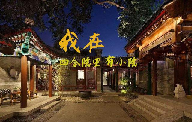 在四合院偷偷暴富