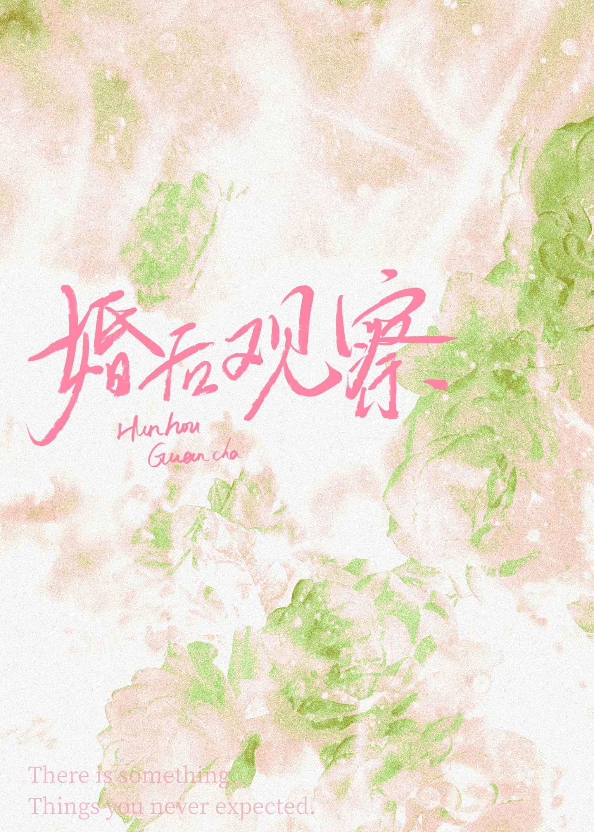 婚后观察综艺好看吗