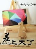差上天了(婚宠)晋江